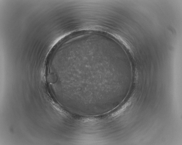 X0000115390830200911171455