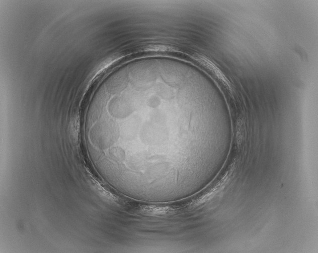 X0000115390831200911171455