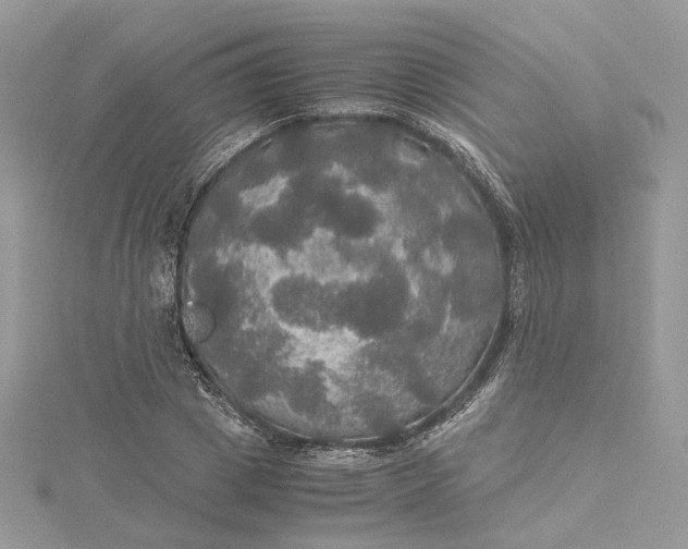 X0000115390833200911171455