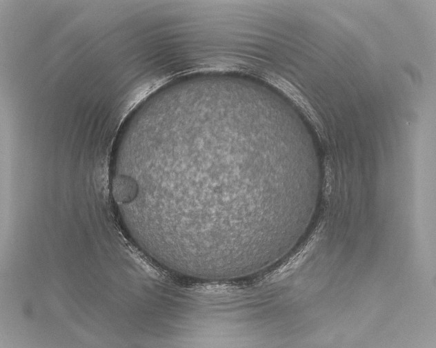 X0000115390834200911171455