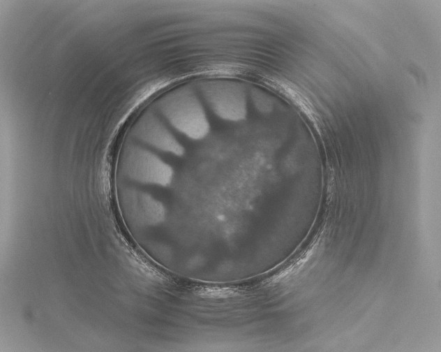 X0000115390835200911171455