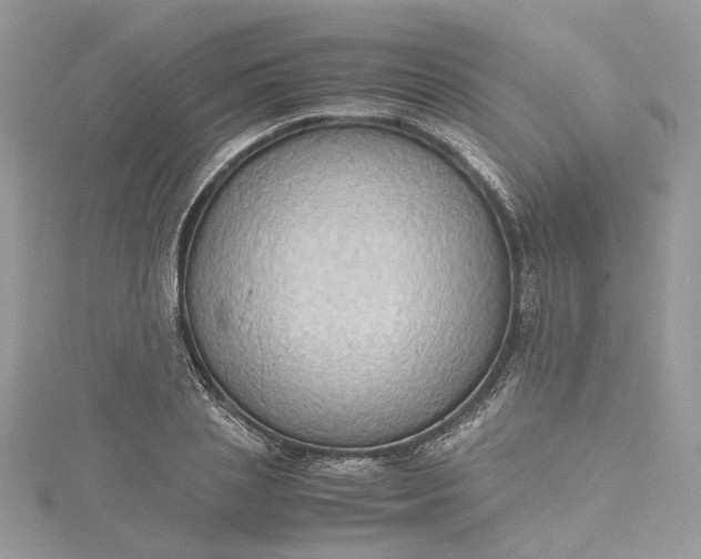 X0000115390837200911171455