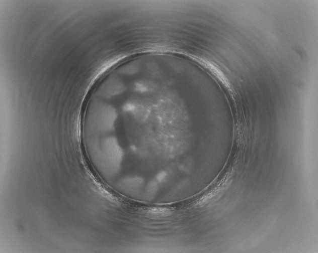 X0000115390839200911171455