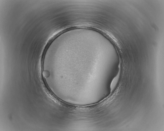 X0000115390840200911171455