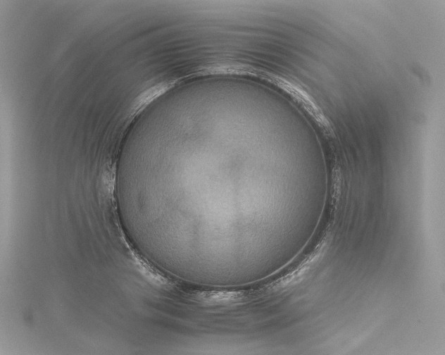 X0000115390841200911171455