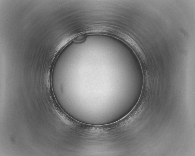 X0000115390842200911171455