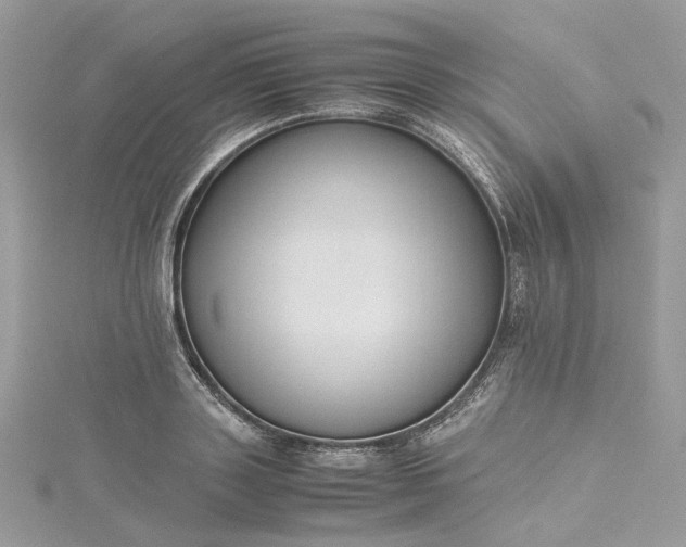 X0000115390843200911171455