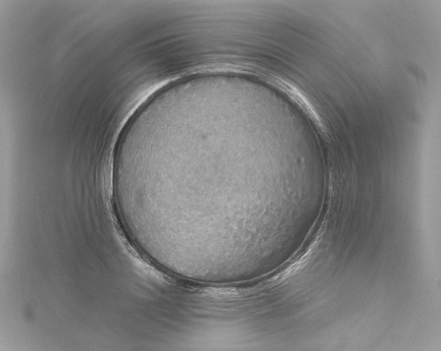 X0000115390844200911171455