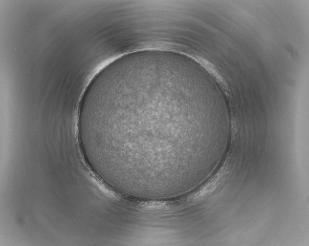 X0000115390846200911171455