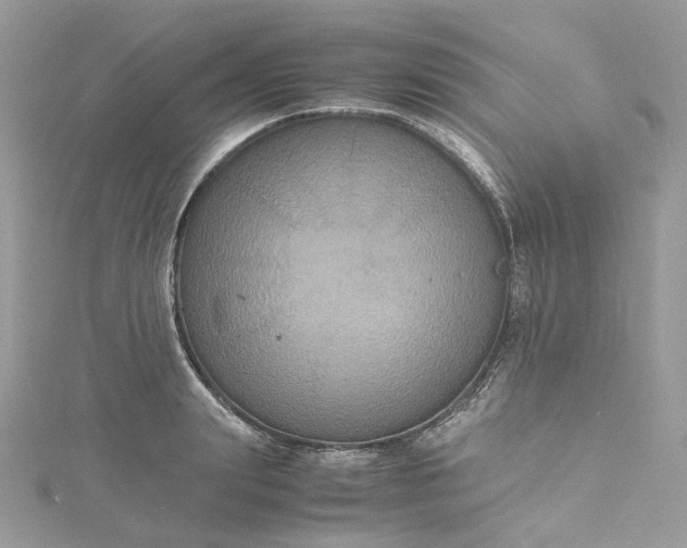 X0000115390847200911171455