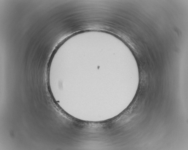 X0000115390848200911171455