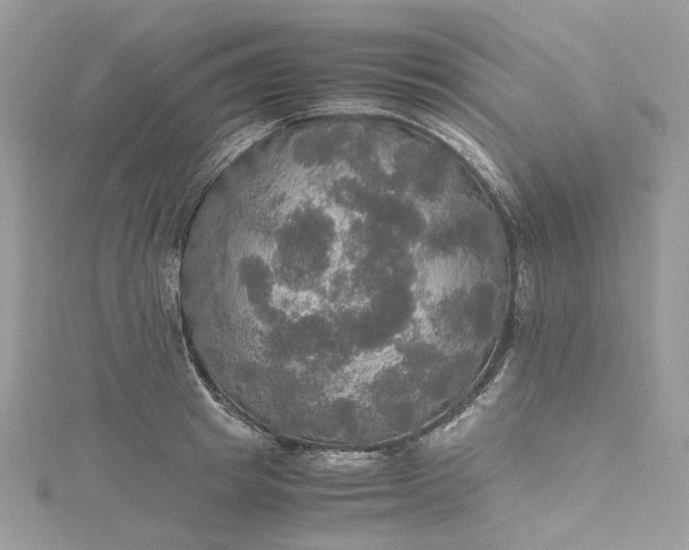 X0000115390849200911171455