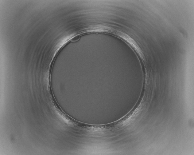 X0000115390850200911171455