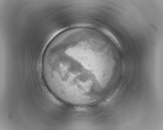 X0000115390852200911171455