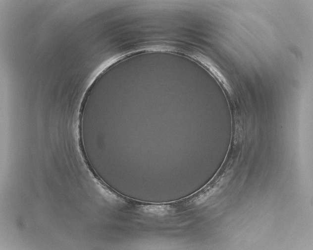 X0000115390853200911171455