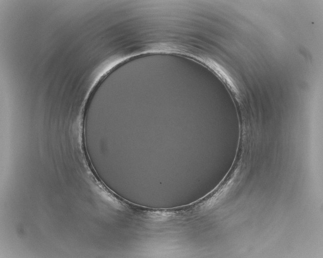 X0000115390854200911171455