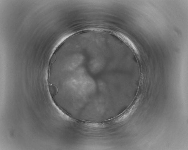 X0000115390855200911171455