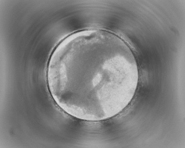 X0000115390856200911171455