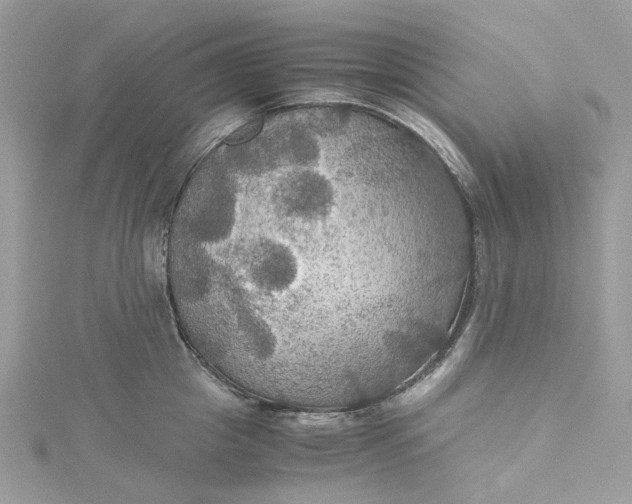 X0000115390857200911171455