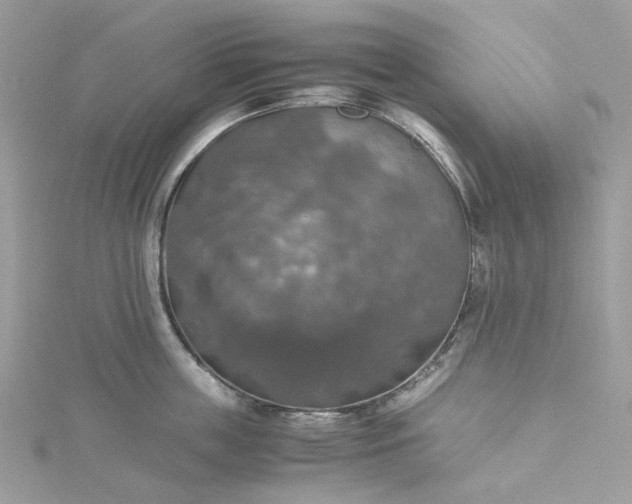 X0000115390859200911171455