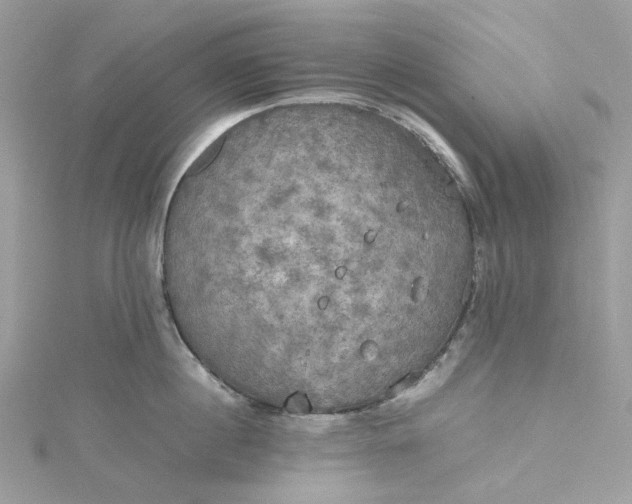 X0000115390860200911171455