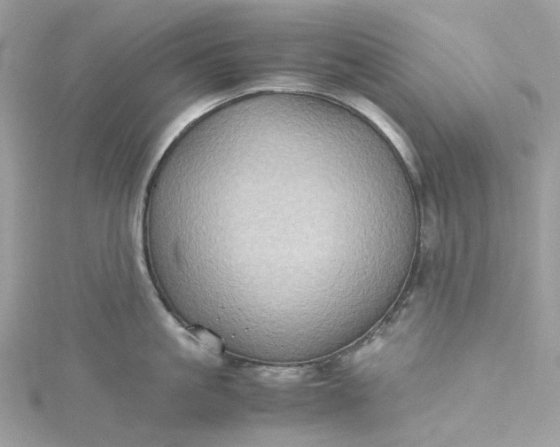 X0000115390861200911171455