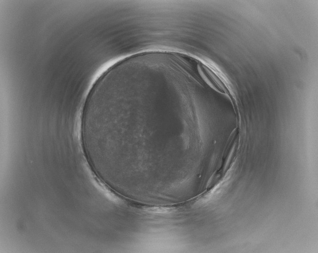 X0000115390862200911171455