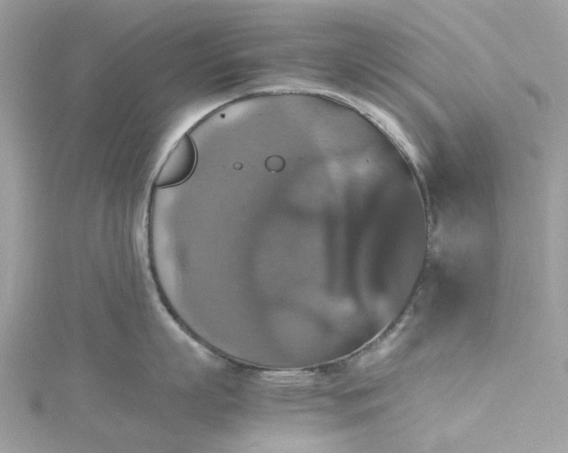 X0000115390863200911171455