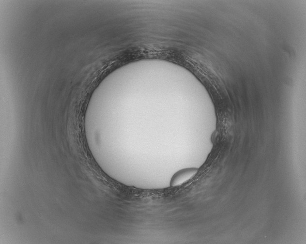 X0000115390865200911171454