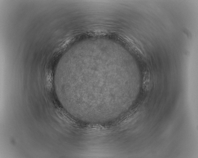 X0000115390866200911171454