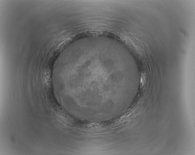 X0000115390867200911171454