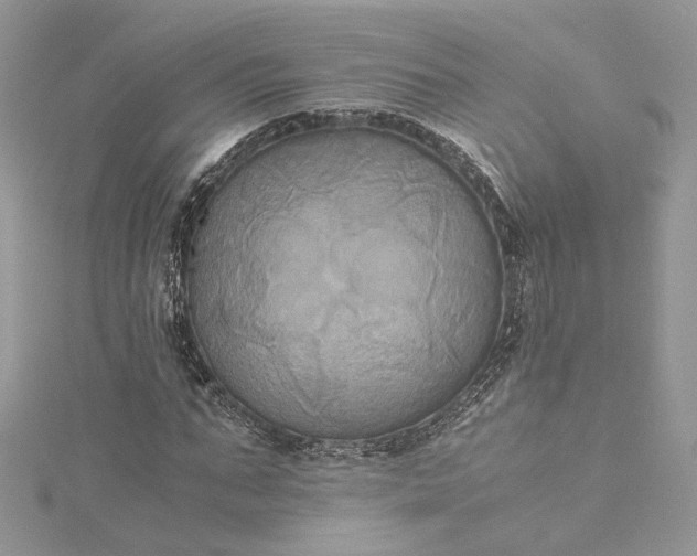 X0000115390871200911171454