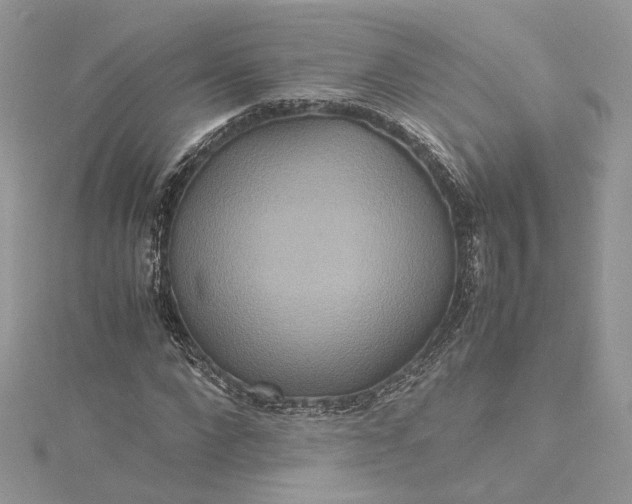 X0000115390872200911171454