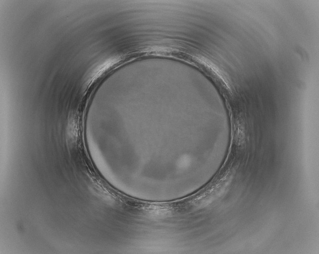 X0000115390874200911171454