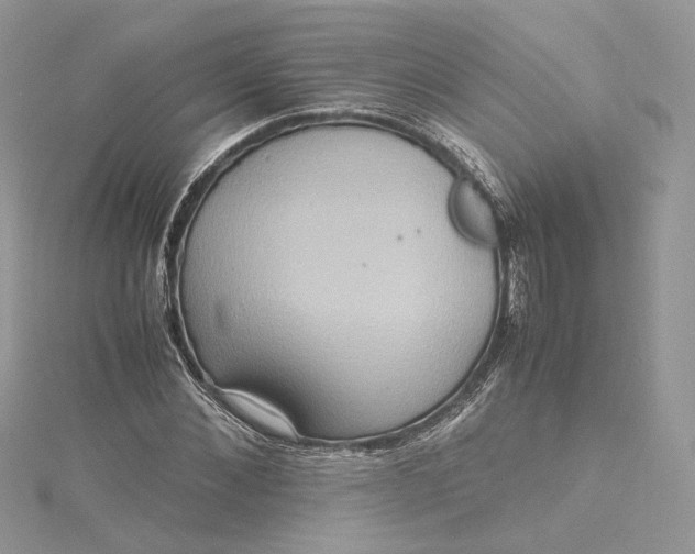 X0000115390876200911171454