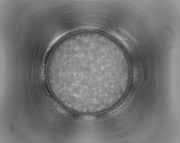 X0000115390878200911171454