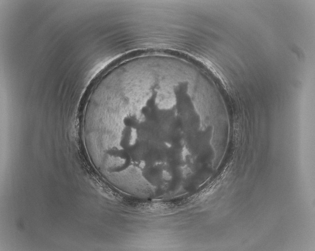 X0000115390879200911171454