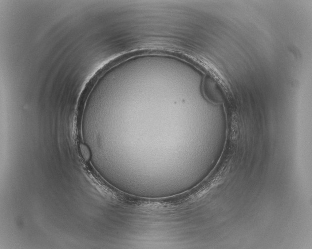 X0000115390880200911171454