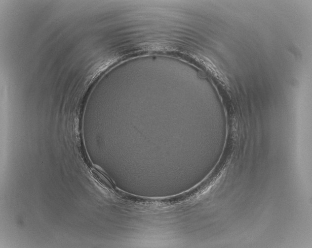 X0000115390881200911171454