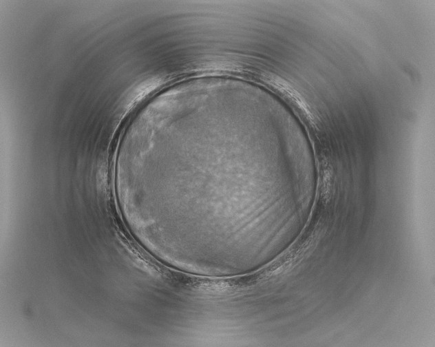 X0000115390882200911171454