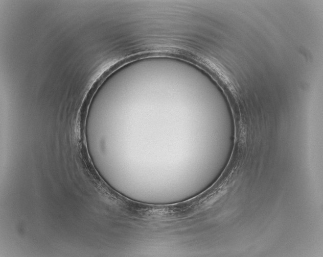 X0000115390883200911171454