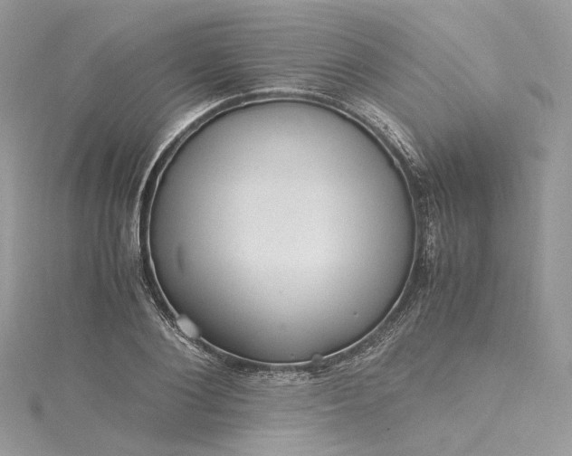 X0000115390884200911171454