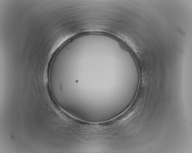 X0000115390885200911171454