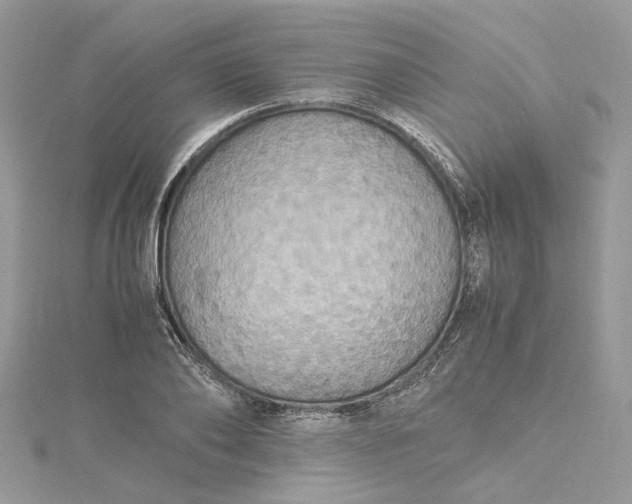 X0000115390886200911171454