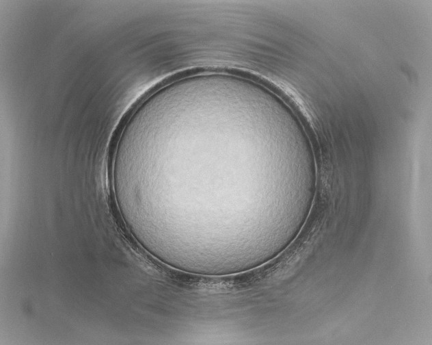 X0000115390887200911171454