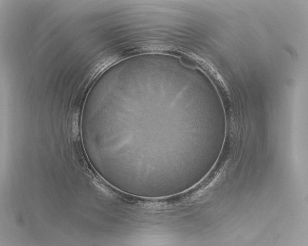 X0000115390889200911171454