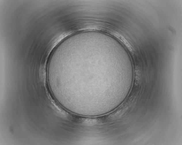 X0000115390890200911171454