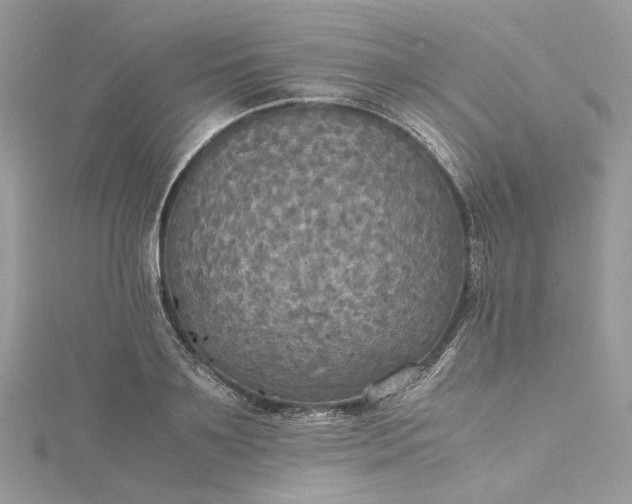 X0000115390891200911171454