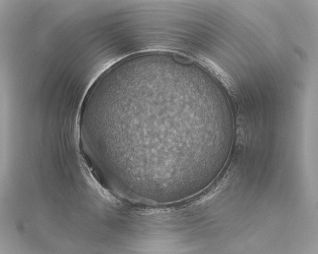 X0000115390892200911171454