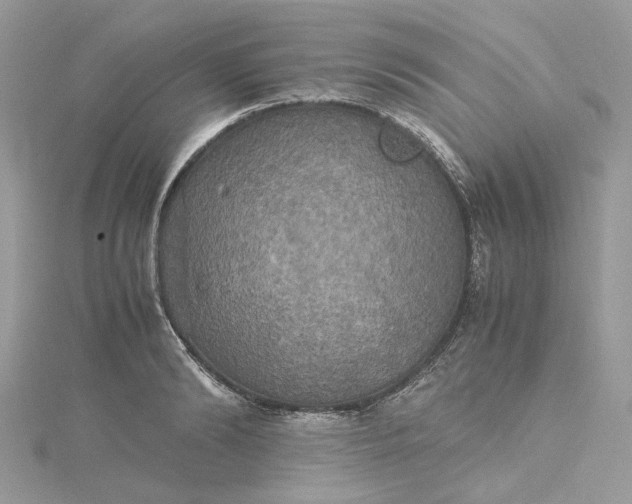 X0000115390894200911171454